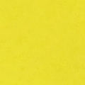 Bright_Yellow-Gloss